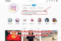 Crafting the Perfect Instagram Bio: Tips and Tricks to Stand Out