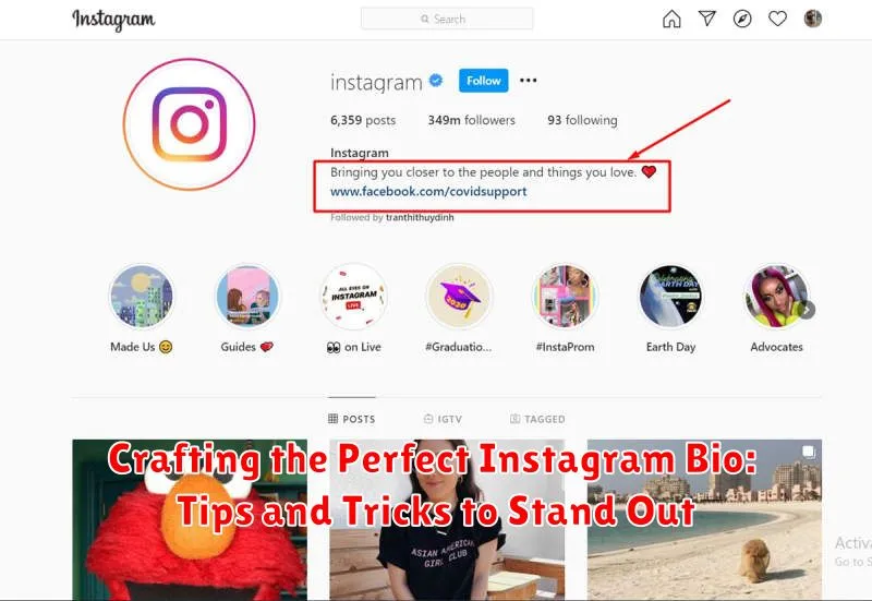 Crafting the Perfect Instagram Bio: Tips and Tricks to Stand Out
