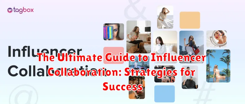 The Ultimate Guide to Influencer Collaboration: Strategies for Success